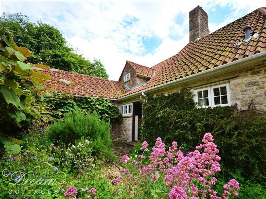 Sixpenny Cottage Upwey Экстерьер фото